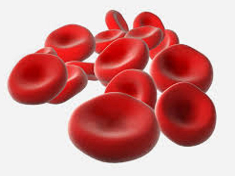 Talassemia prevenzione a portata di Click